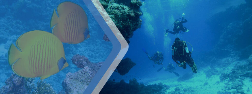 Estudiar un curso de buceo en Australia