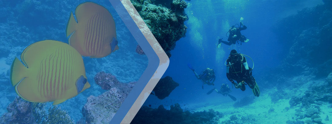 Estudiar un curso de buceo en Australia