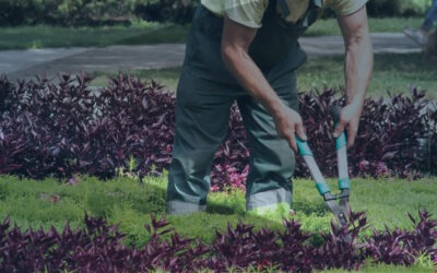 Guía para trabajar de jardinero en Australia