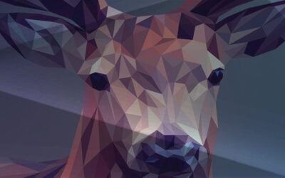 Estudiar un curso de diseñador gráfico en Australia