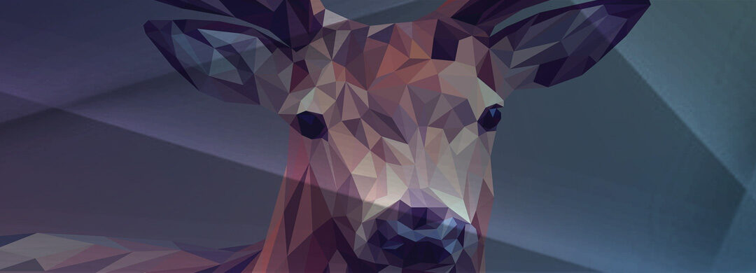 Estudiar un curso de diseñador gráfico en Australia