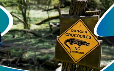 Los verdaderos peligros en Australia
