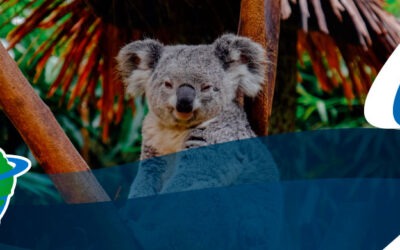 Todo lo que tienes que saber antes de ir a Australia