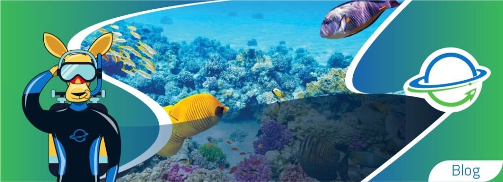6- La gran barrera de coral: un aventura a otro nivel