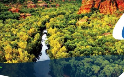Parque Kakadu, y deja que se pierdan tus preocupaciones