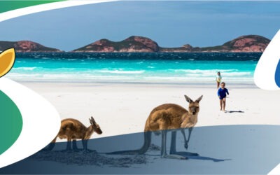 Domesticar un Canguro en australia, ¿se puede hacer?